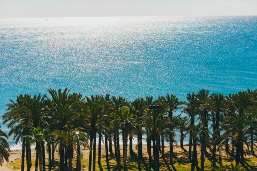 Amazing Frontline Sea Views Studio Apartment Castillo Del Vigia توريمولينوس المظهر الخارجي الصورة